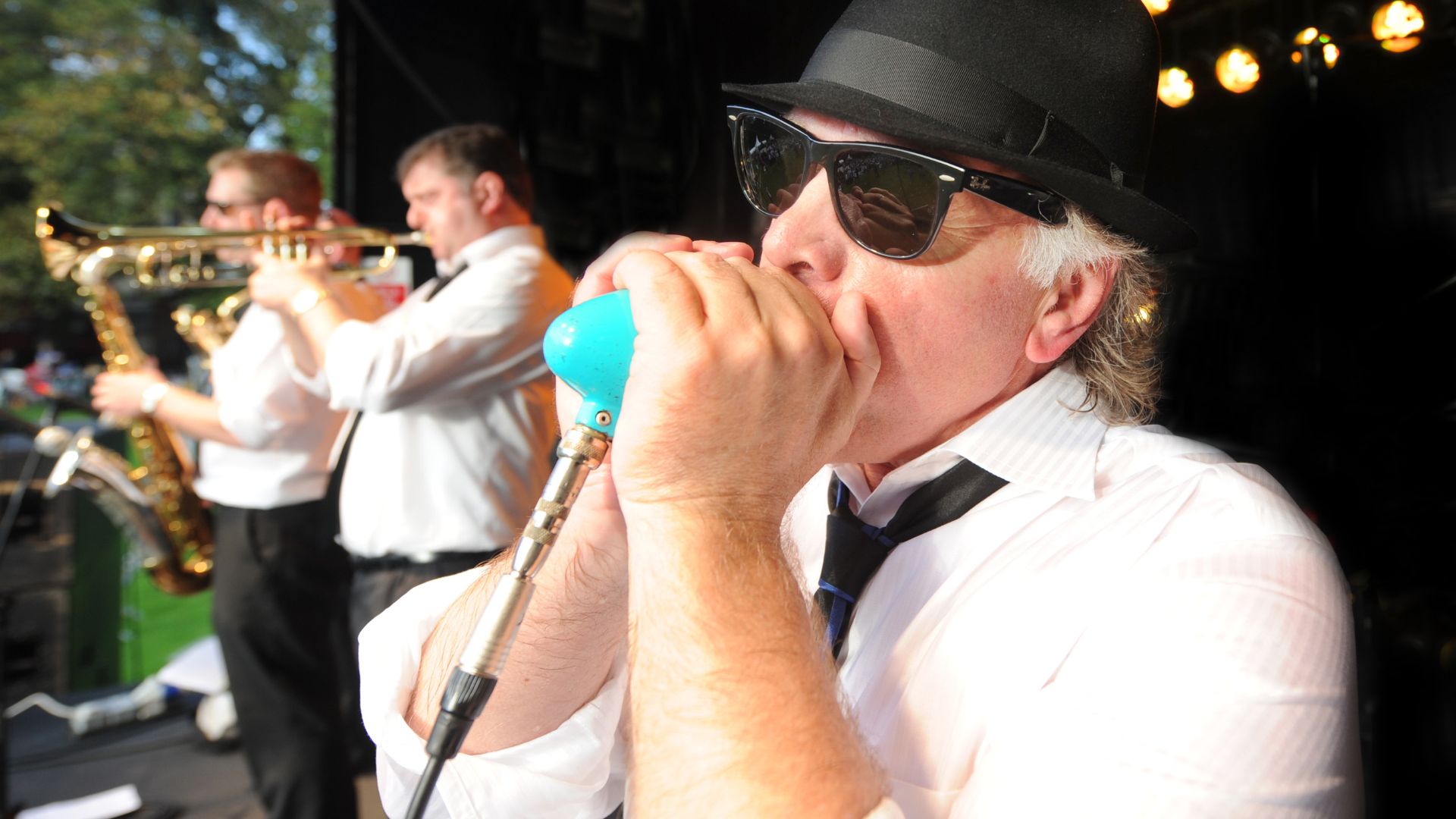 Otis And The Elevators The Court House